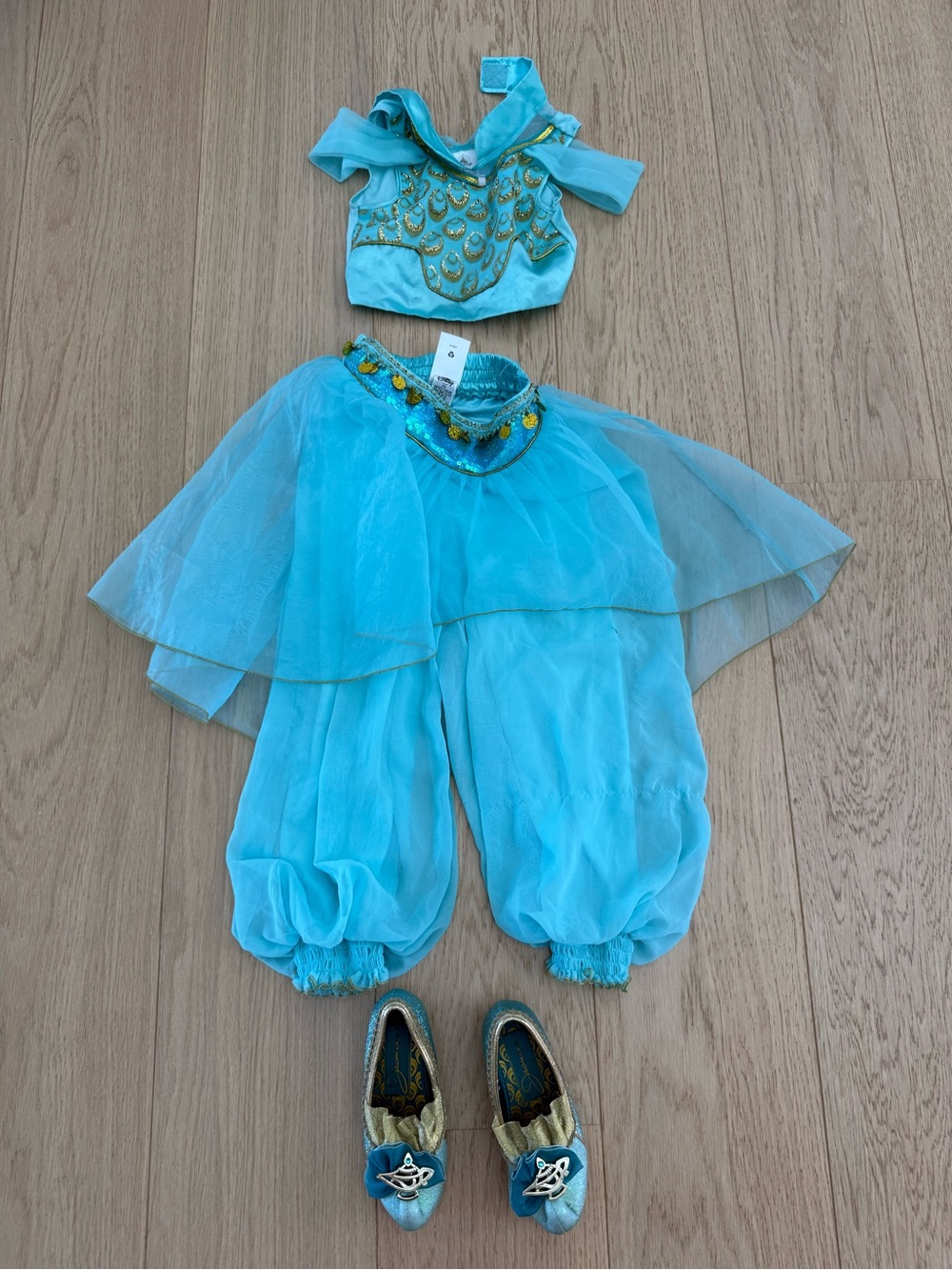 Disney Jasmine Dress up outfit